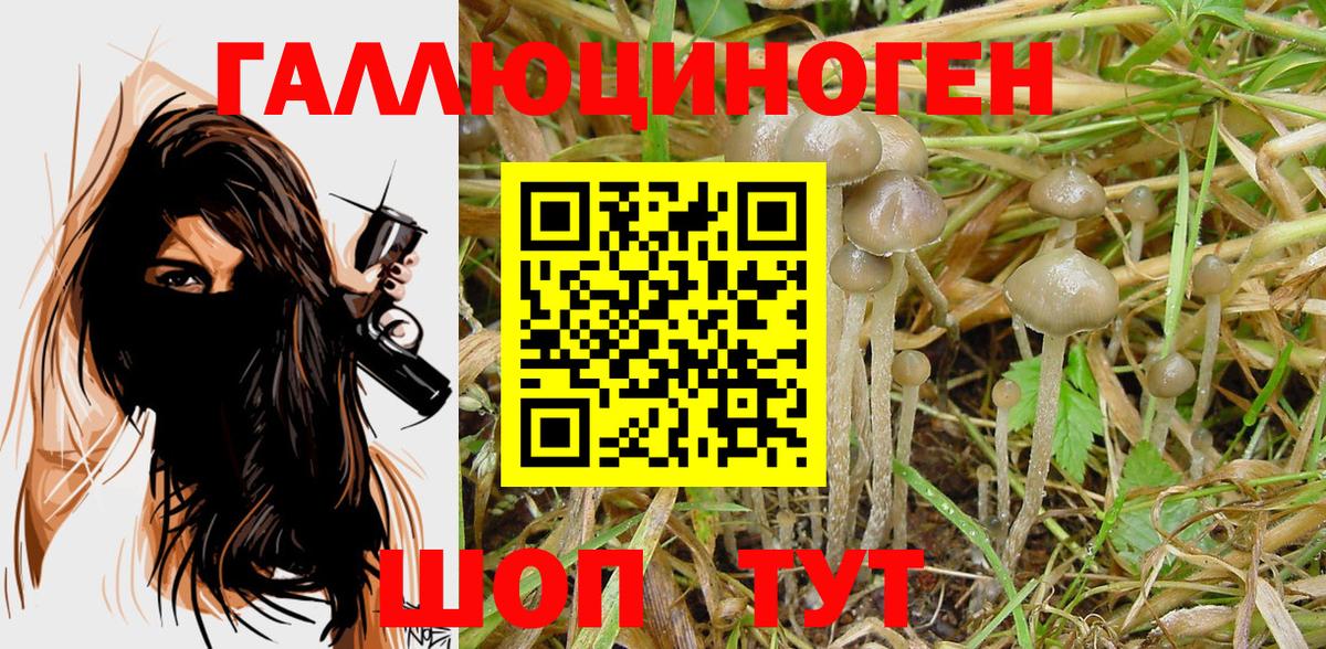Галлюциногенные грибы ЛСД  Галлюциногенные грибы Psilocybe  Вход с VPN  Моздок 